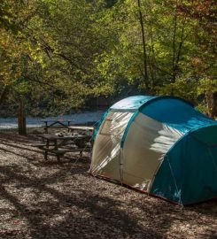 Yedigöller Kamp Alanı, Habitat Mesire