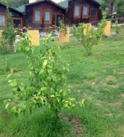 Şile Bungalov Evleri