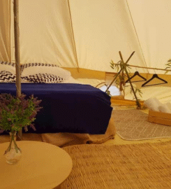 Mona Glamping Caravan Suites