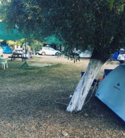 Eses Camping