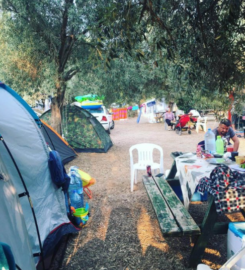 Eses Camping