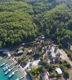 Eses Camping