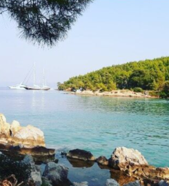 Eses Camping
